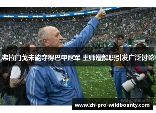 弗拉门戈未能夺得巴甲冠军 主帅遭解职引发广泛讨论 弗拉门戈未能夺得巴甲冠军 主帅遭解职引发广泛讨论