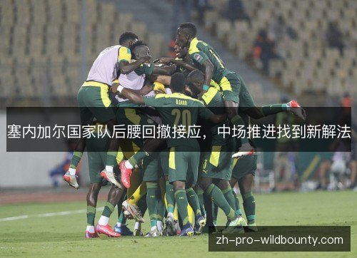 塞内加尔国家队后腰回撤接应，中场推进找到新解法